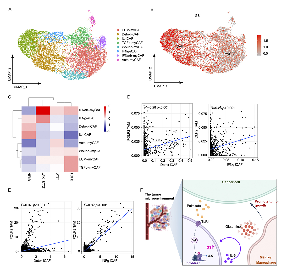 JExpMed's tweet image. Li, Møller, Ho et al. @unil show how tumor-derived lipids can induce an IL-6–dependent increased glutamine synthesis pathway in cancer-associated fibroblasts, supporting CAFs ability to promote pro-tumorigenic tumor-associated macrophages. hubs.la/Q03xvmfr0