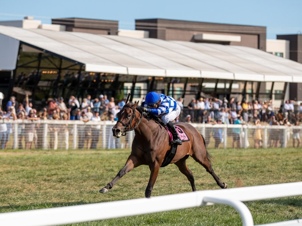 KYDownsRacing's tweet image. Looking for an elevated way to enjoy a day at the races? Let us introduce you to the VIP Chalet ✨
This unique venue is air conditioned and has a great view of the final stretch. Tickets include premium hospitality, featuring a lunch buffet, afternoon snacks and an open bar.…