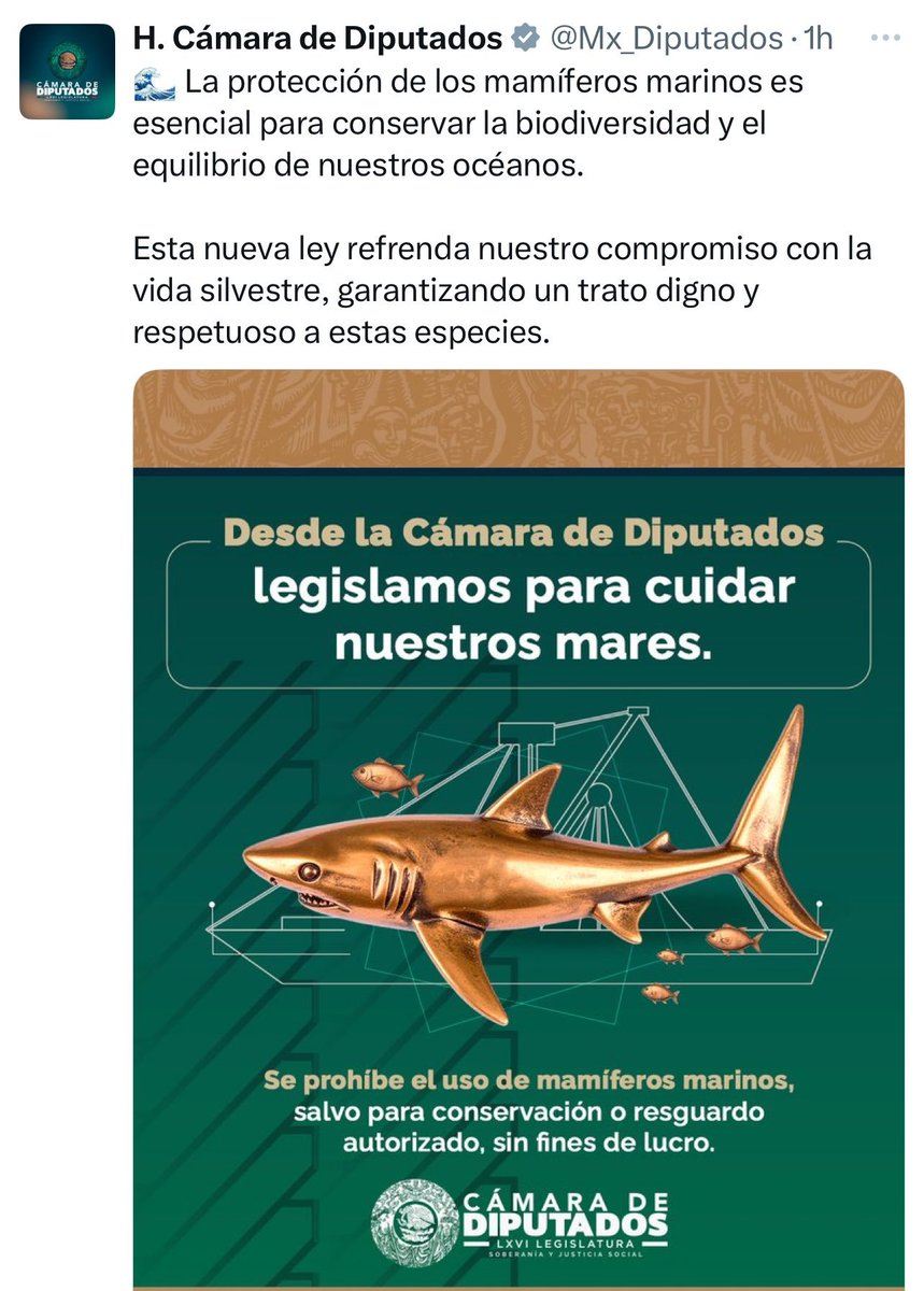 AssLatam's tweet image. The mexican Chamber of Deputies posted an image celebrating a law protecting marine mammals, but they chose a shark (not a marine mammal) to represent it.