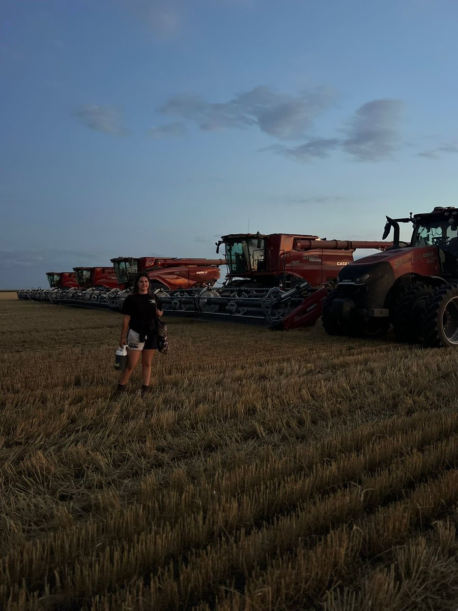 LittleBigFarm's tweet image. The evening view for us at the Paplow Harvesting &amp;amp; Trucking. 

3 CASE IH 8260 
1 CASE IH AF9 
1 CASE IH 355 &amp;amp; Brent Cart. 

You can follow me along my journey whilst I complete the 2,000 mile harvest on my YouTube here 👇👇

youtube.com/playlist?list=…