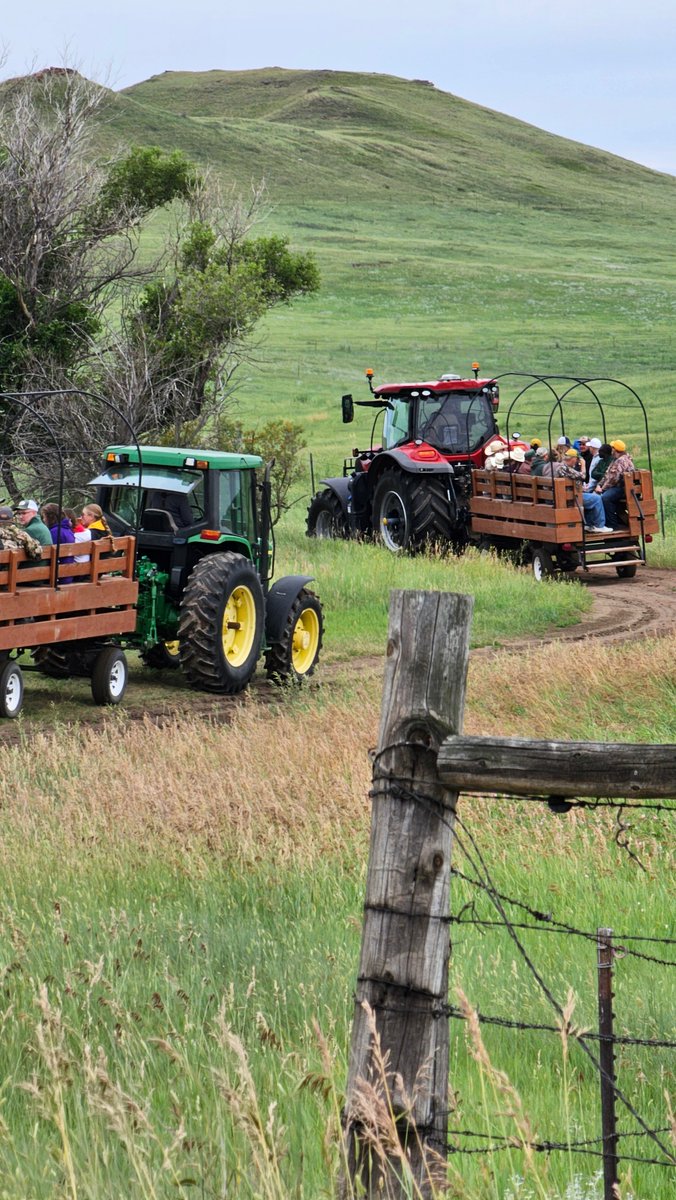 NDAgExpStation's tweet image. The Dickinson REC Livestock and Ranch Tour is happening this morning #NDSUFieldDay