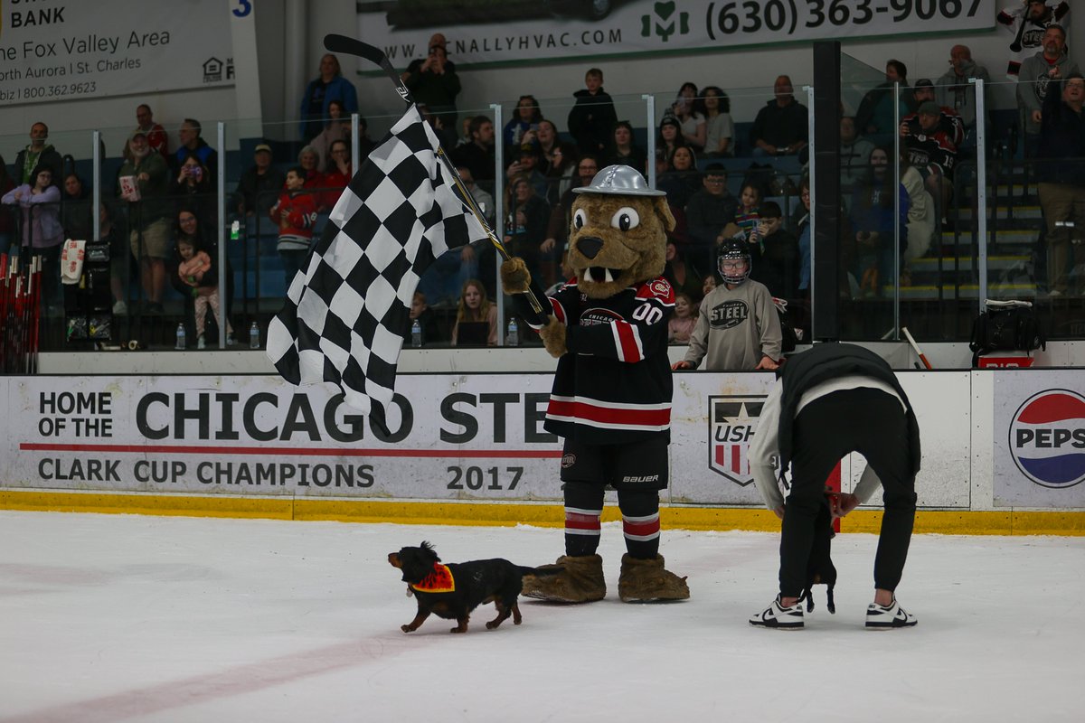 ChicagoSteel's tweet image. We've got the best wieners in Chicagoland, hands down 🌭
Stay tuned in the coming weeks for our full promotions schedule, including the annual Wiener Dog Races!
#NationalHotDogDay #FeelSteel
