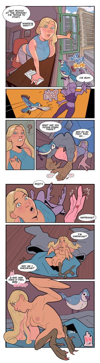 Cramming for finals is never an easy task, and it is made no easier by unwelcome distractions. Normally Monica enjoys the sight of her little feathered visitors, but this blue jay just isn't brightening up her day like it normally would.

#transformation #tftuesdsay #transfur