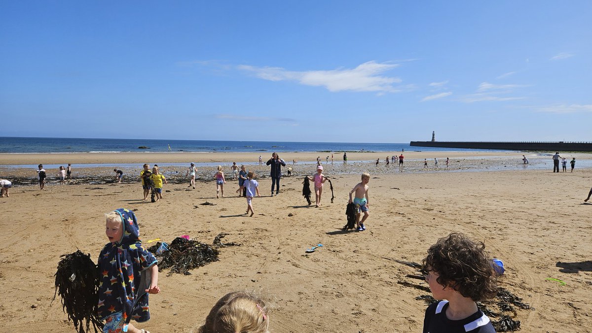 Yr 1 had an absolutely fantastic day at the beach! 🌊⛱️🌞