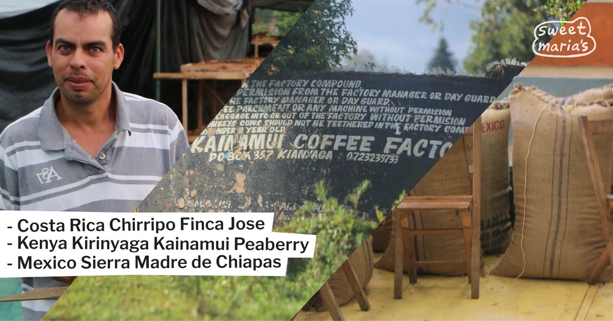 A crowd-pleasing Mexican coffee from Chiapas, a subtle but sweet new crop Costa Rican lot, and a juicy, complex Kenya peaberry are today's latest additions.

Shop now: sweetmarias.com/catalogsearch/…
