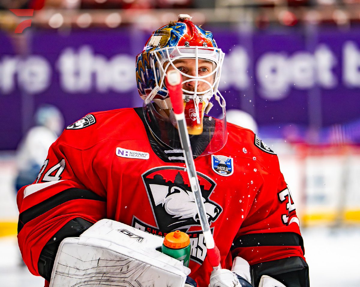 FloHockey's tweet image. Photos from the #CalderCup Finals that you haven't seen because we took them: Charlotte Checkers edition 😌📷
@CheckersHockey | @TheAHL
#CheckersHockey #AHL