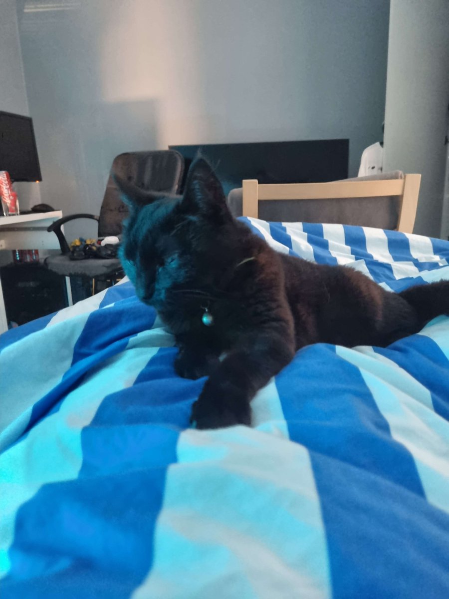 Ichi 🇸🇪 tweet media