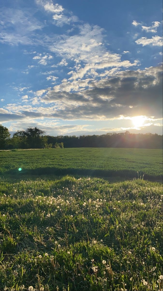 AliceAlice185's tweet image. Golden hour over green dreams. 🌿🌞
#GoldenHour #SunsetVibes #NaturePerfection #FieldsOfGold #EarthMood #PeacefulMoments #VisualVibes #SerenityNow #WanderlustViews #SkyBrilliance