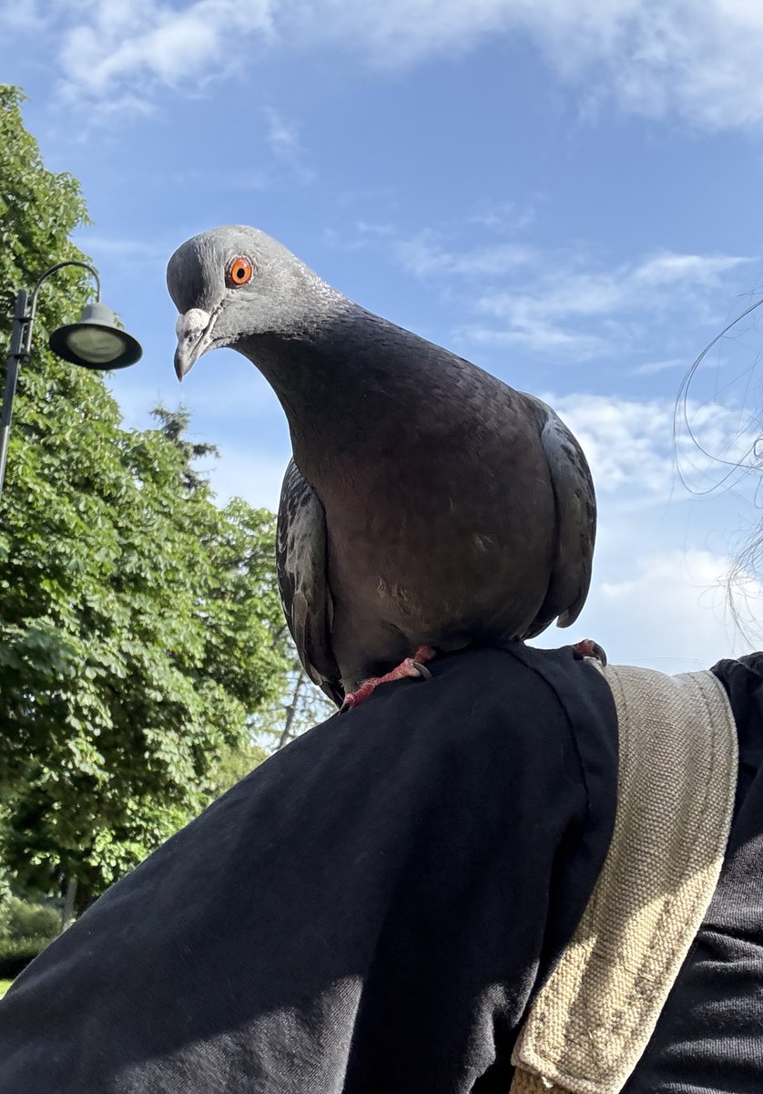 It is what it is 😅