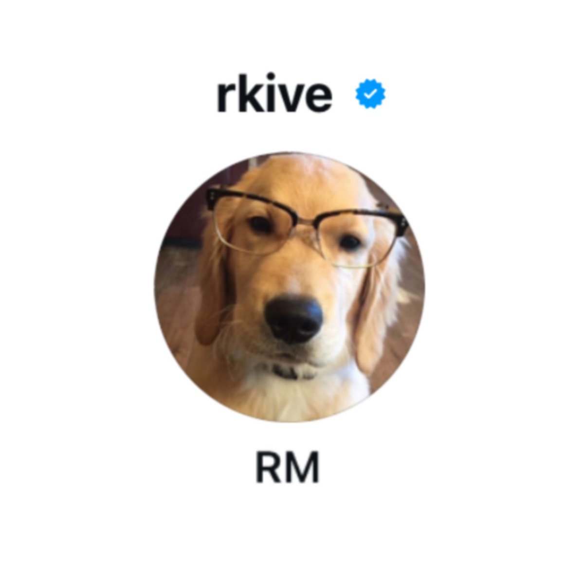 SALTYSUMMER_'s tweet photo. 🐶 https://t.co/ivbyFYI9Xf