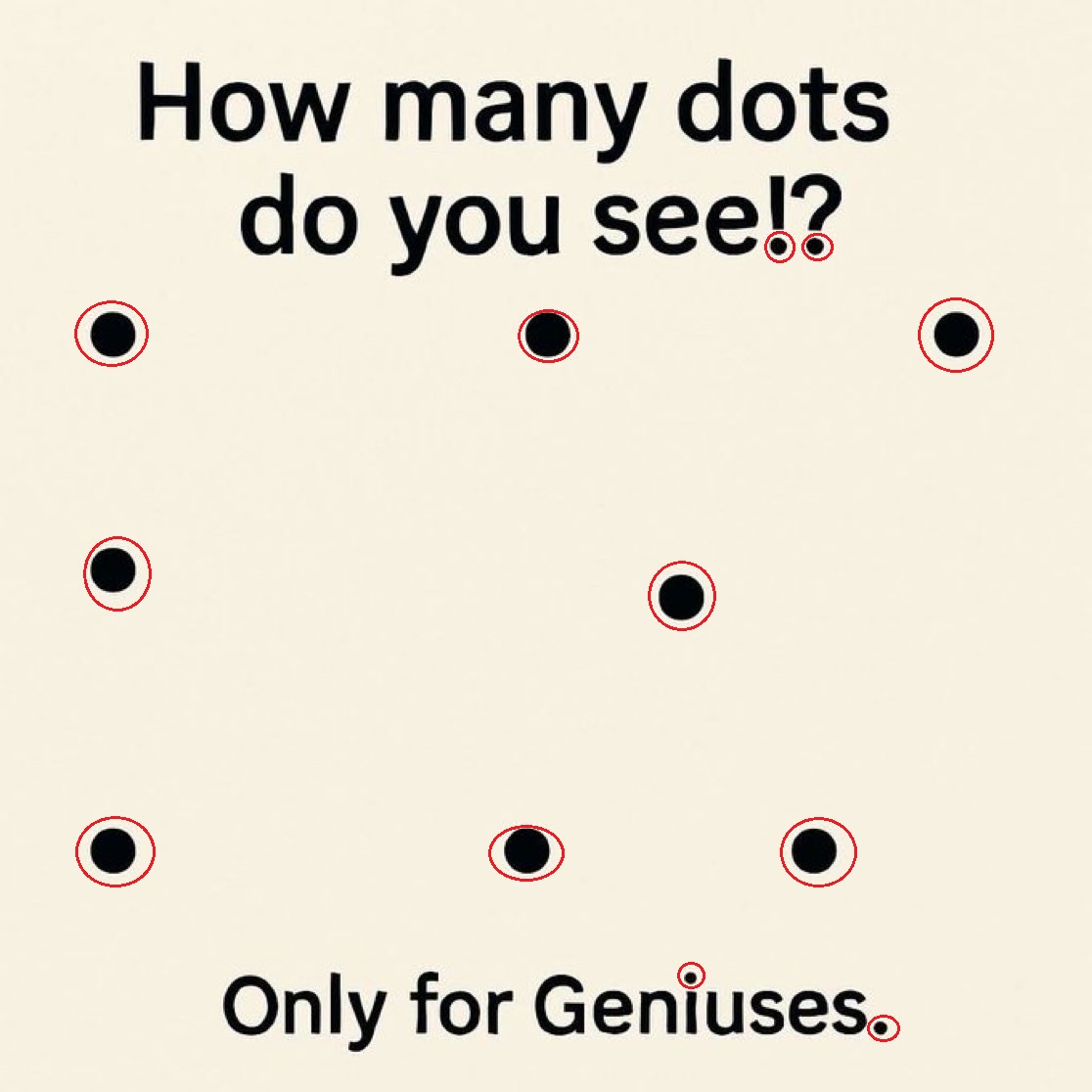 Atilla Torgay🐬 tweet media