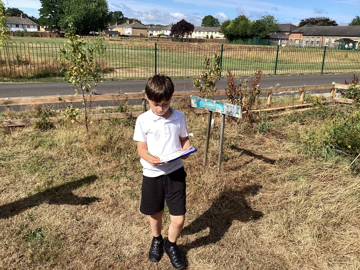 #MPSElm loved their scavenger hunt this morning, looking for different natural objects outside in different areas of the school!