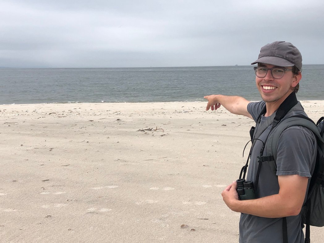 breaking tweet media