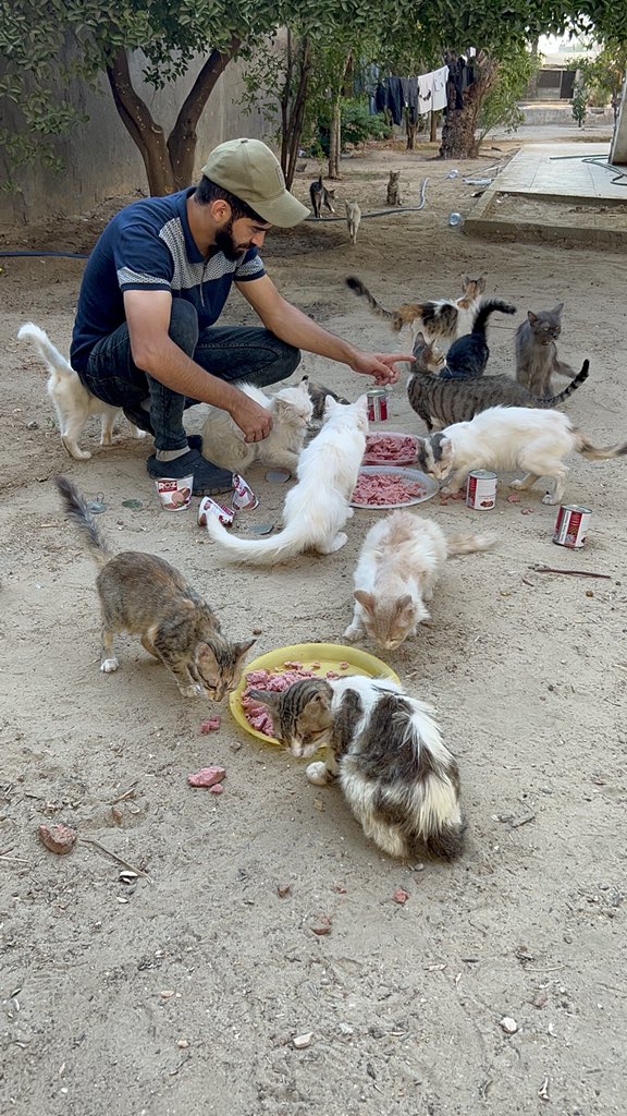 Urgent Help😭🆘💔🙏
To all my loyal friends around the world🫶🏻, I appreciate your tremendous support in these difficult times.🙏🫶🏻🌹 Thank you from the bottom of my heart.🫂♥️ The brutal occupation has been bombing my city for more than 647 days, and no one can stop it.😫😭💔