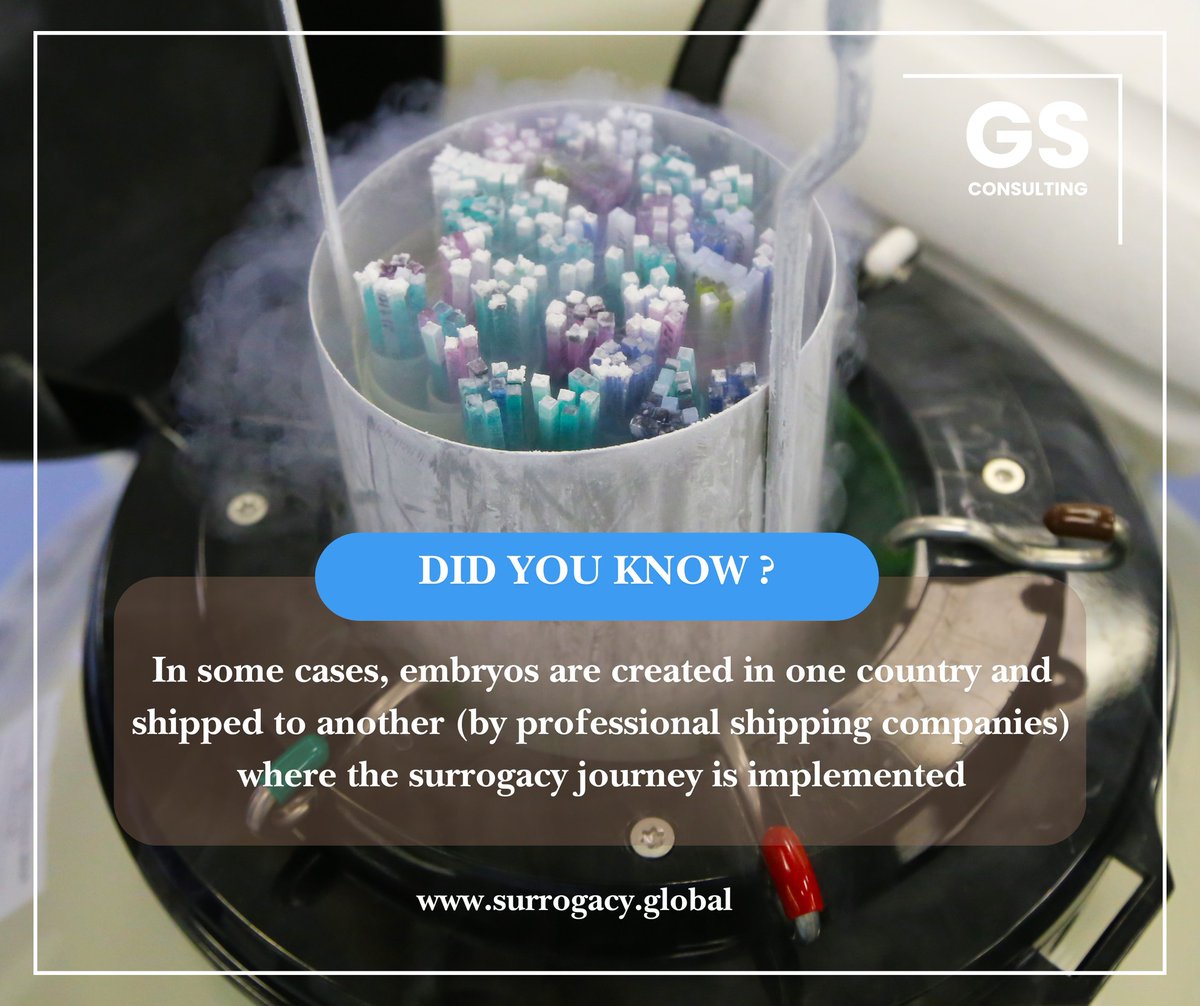 Professional shipping services ensure the embryos remain safe and viable during their international journey, making global family building possible.📷

📷 info@surrogacy.global
📷 surrogacy.global
📷Application form: surrogacy.global/contact/