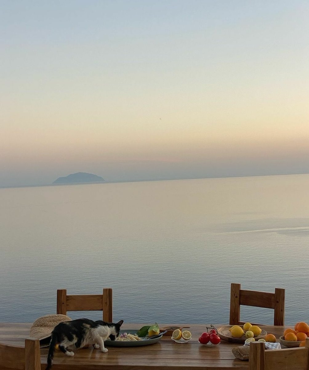 The Mozinity (@mozinity) on Twitter photo 