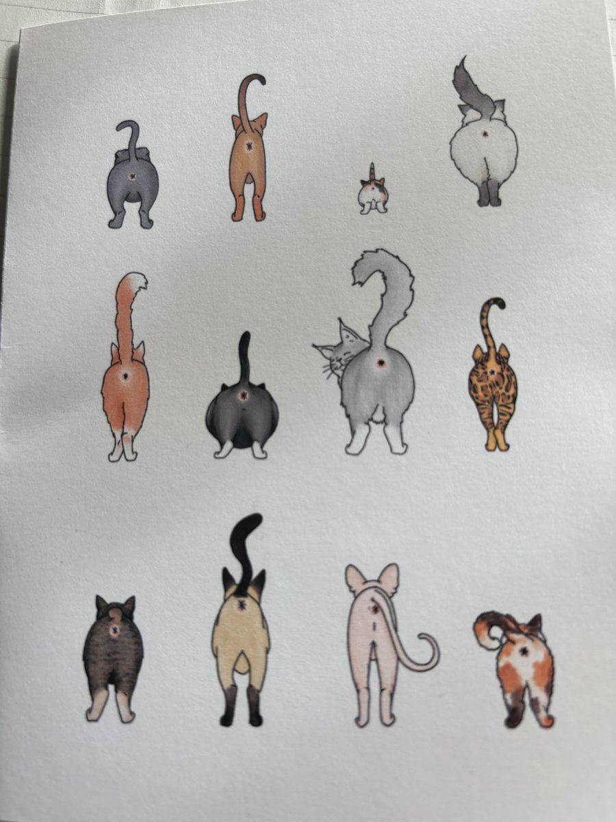 Such a funny card 😹😹. Thank you so much <a href="/rajahthebengal/">Rajah the Bengal loves Pi🐆</a>, Marley and I love it. It’s so exciting getting post from across the pond! Jx #BengalMooning