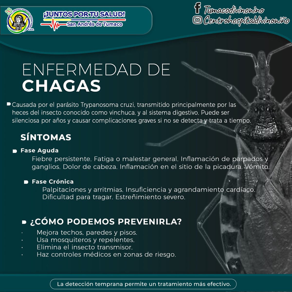 CHDN1's tweet image. #InfórmateYComparte ✅ El Chagas es una enfermedad silenciosa que puede afectar tu corazón y sistema digestivo. Si tuviste contacto con el “pito” o tienes síntomas como fatiga o palpitaciones, acude al centro de salud. ¡Hablemos del Chagas!
#chagas #Salud #SaludPública