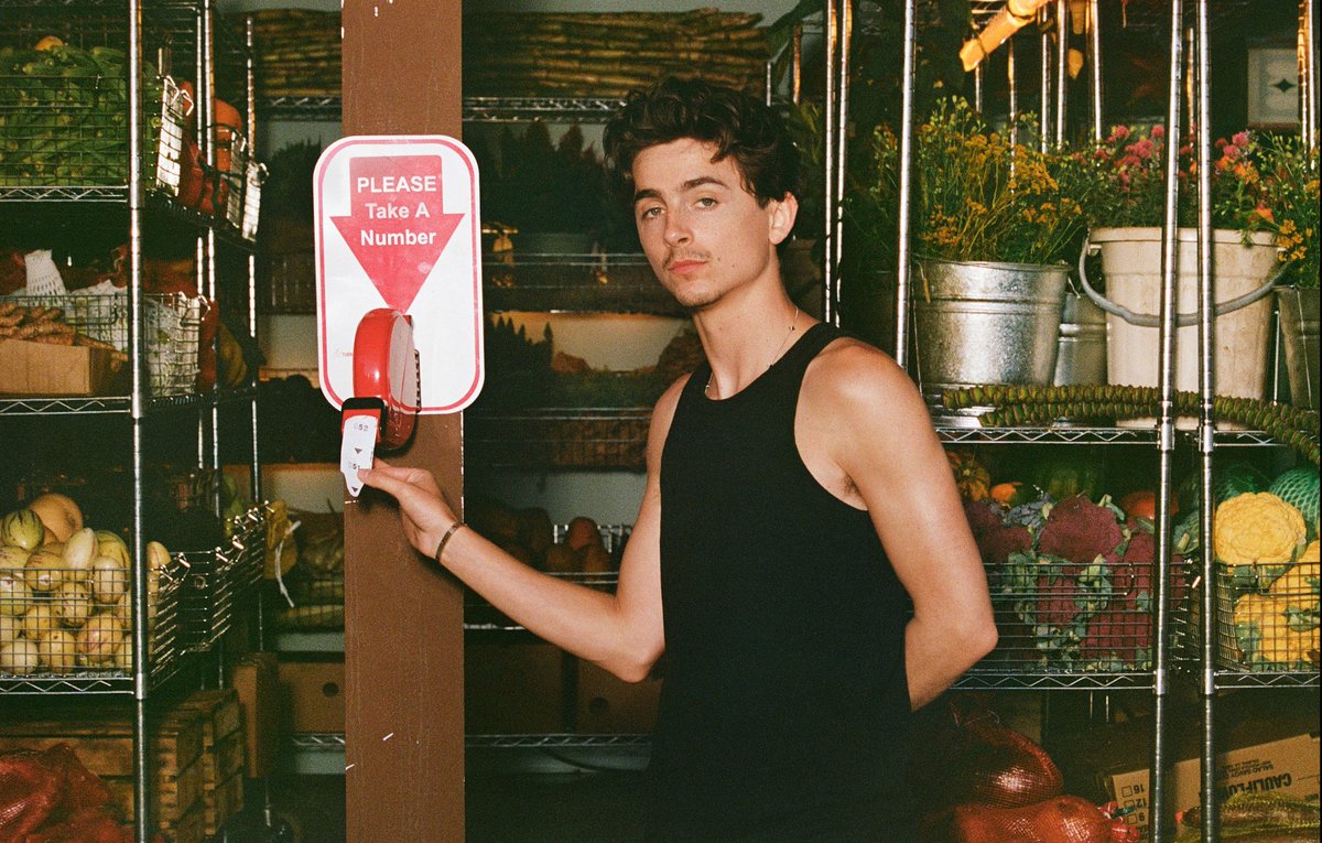 timotheeupdates's tweet image. 🚨 Timothée Chalamet photographed by Aidan Zamiri for Cash App
