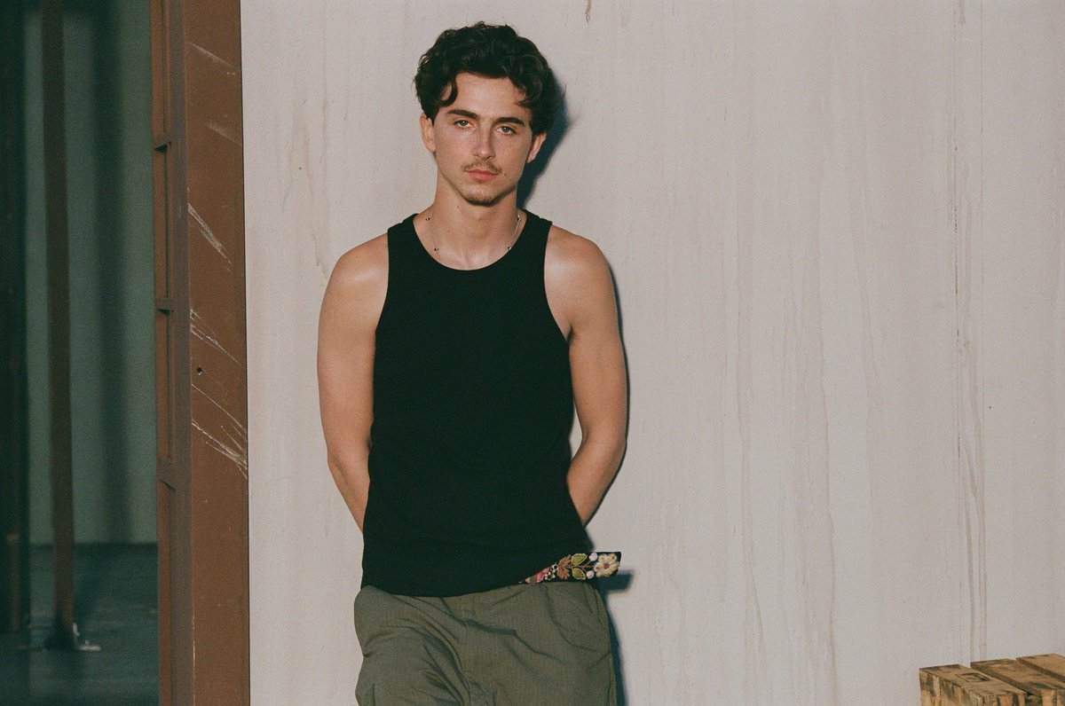 timotheeupdates's tweet image. 🚨 Timothée Chalamet photographed by Aidan Zamiri for Cash App