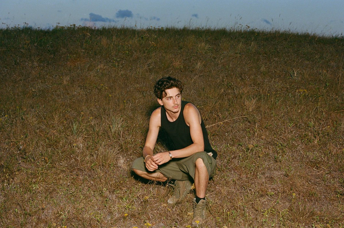timotheeupdates's tweet image. 🚨 Timothée Chalamet photographed by Aidan Zamiri for Cash App