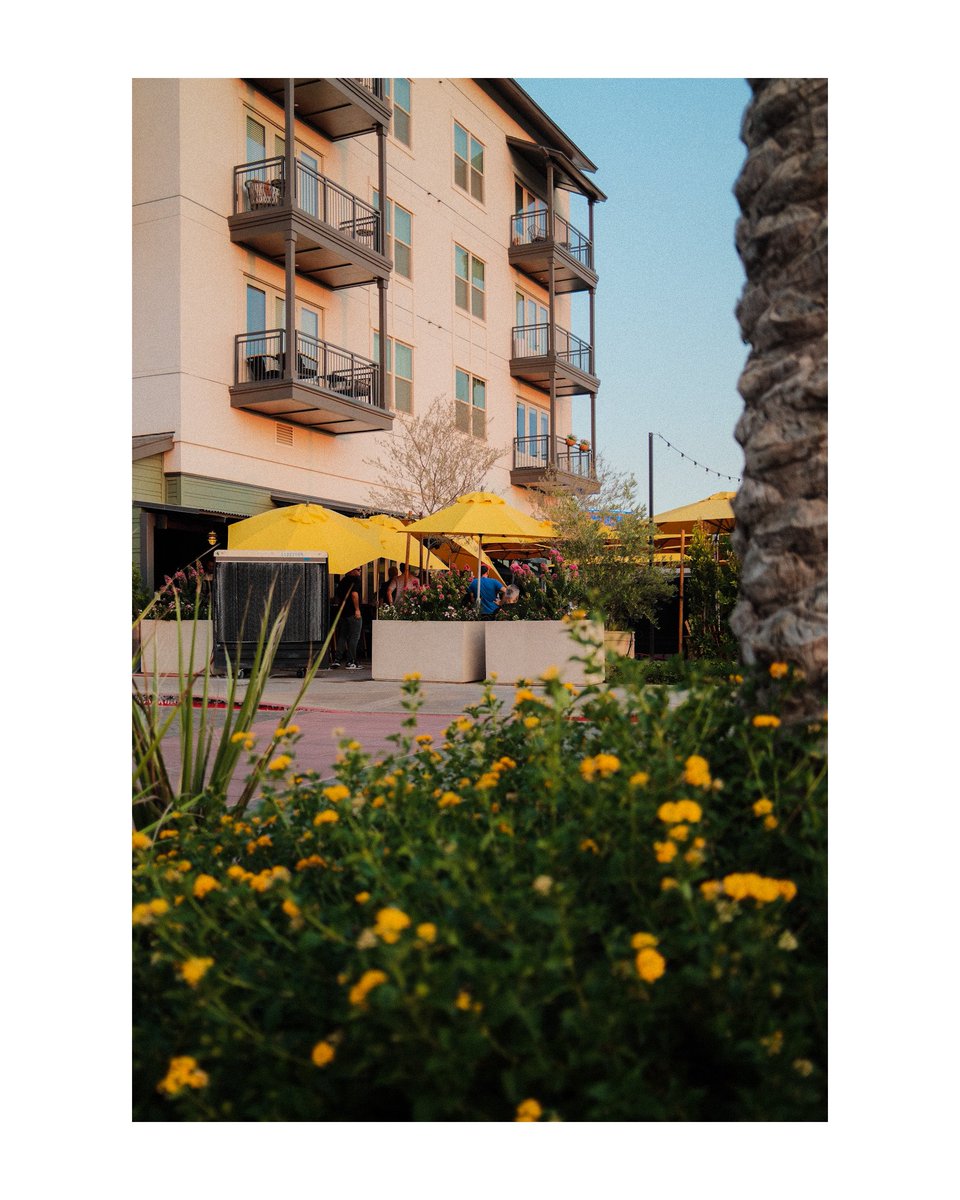 The camera and the photos