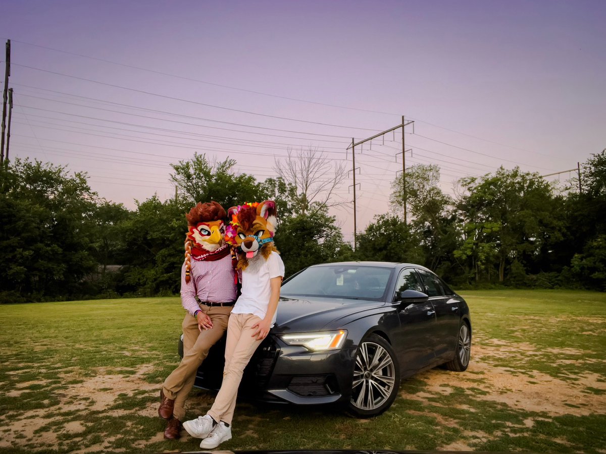 Summer nights and suburban bliss 🧡✨🤍