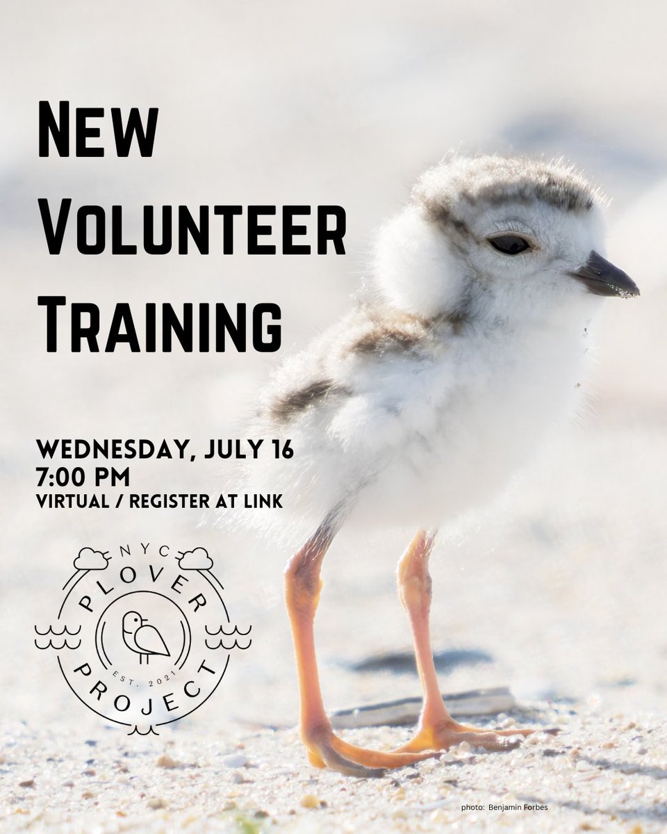 NycPlover's tweet image. We have a few more spots for 2025 volunteers! Join us TONIGHT to learn about this special opportunity! Virtual | Must pre-register | Join us! lu.ma/v1z316ib