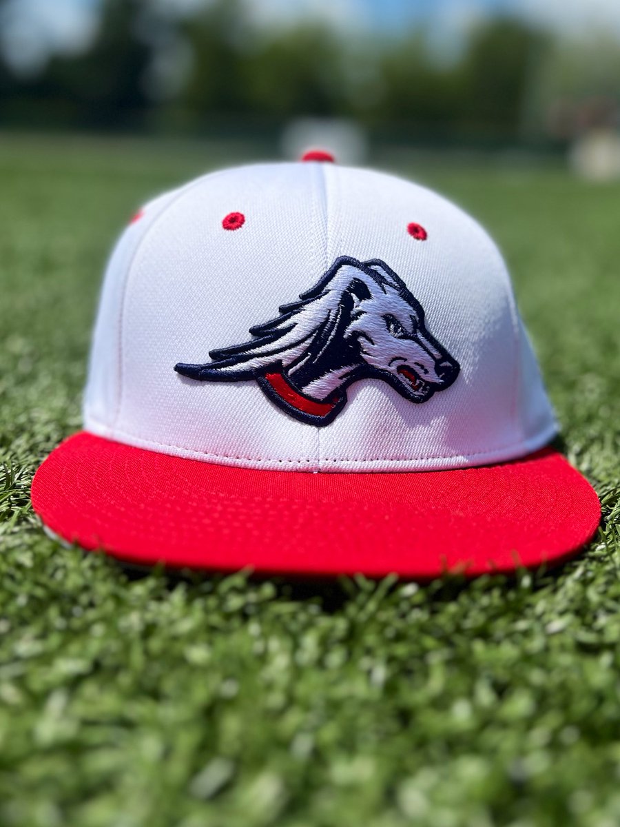 SWTenn_BSB's tweet image. After 𝟱𝟯 𝘆𝗲𝗮𝗿𝘀 of wearing different variations of an “S”, we have made the switch to our new logo for our on-field game hats 💪
These (+ variations of this on adjustable & trucker hats) be available for purchase in the near future!
#SaluqiPride