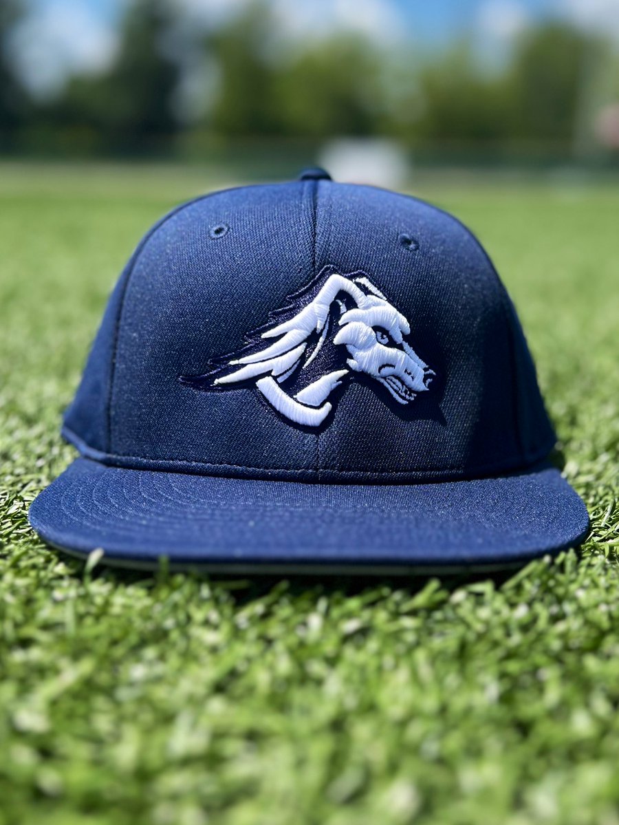 SWTenn_BSB's tweet image. After 𝟱𝟯 𝘆𝗲𝗮𝗿𝘀 of wearing different variations of an “S”, we have made the switch to our new logo for our on-field game hats 💪
These (+ variations of this on adjustable & trucker hats) be available for purchase in the near future!
#SaluqiPride