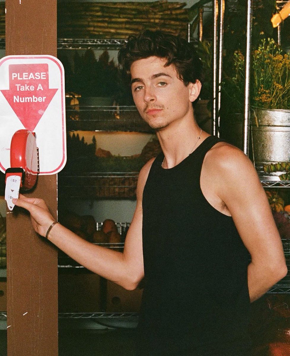 Musetta_May's tweet image. Timothée Chalamet photographed by Aidan Zimiri for Cash App.