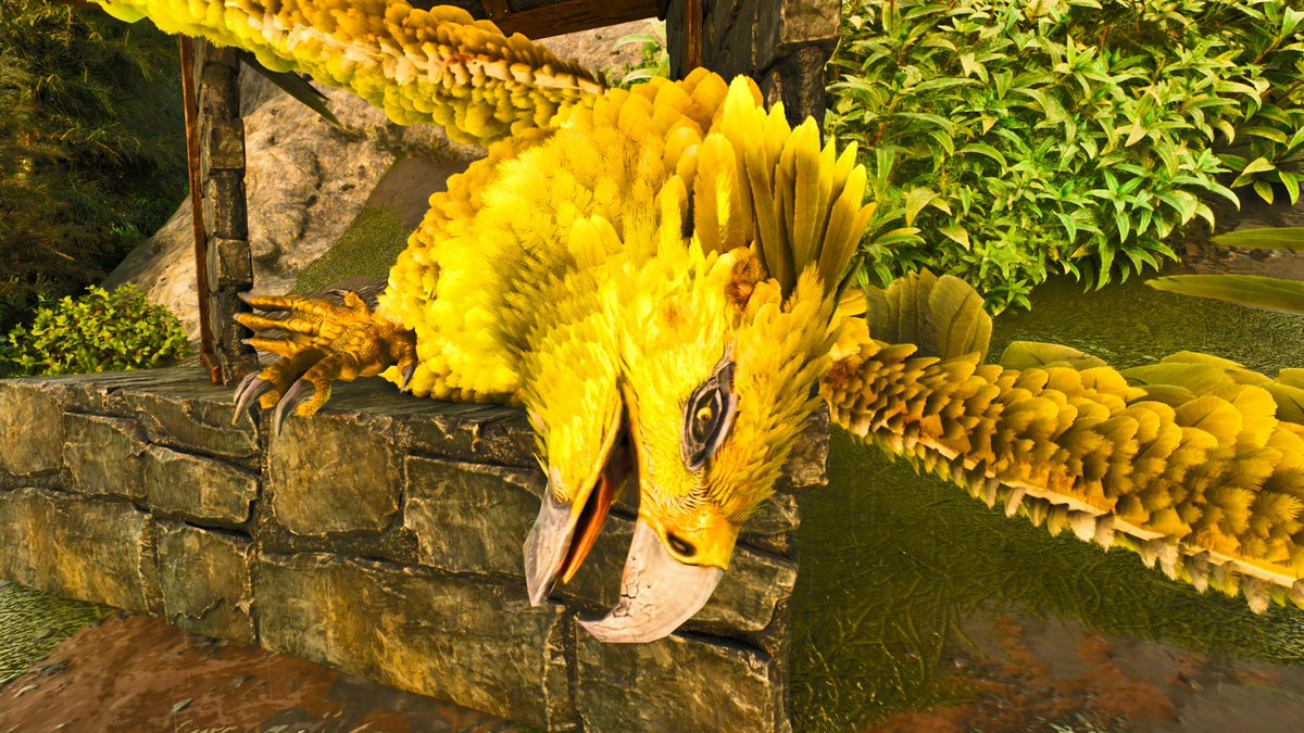 イベントも終了間際でアイスは相変わらずだけどグリフィンはライバルいないので厳選してたら... 元々体力低いしサドルも無いので50pは大当たりでした🤩
あと君は目を開けて寝るんだね🙈