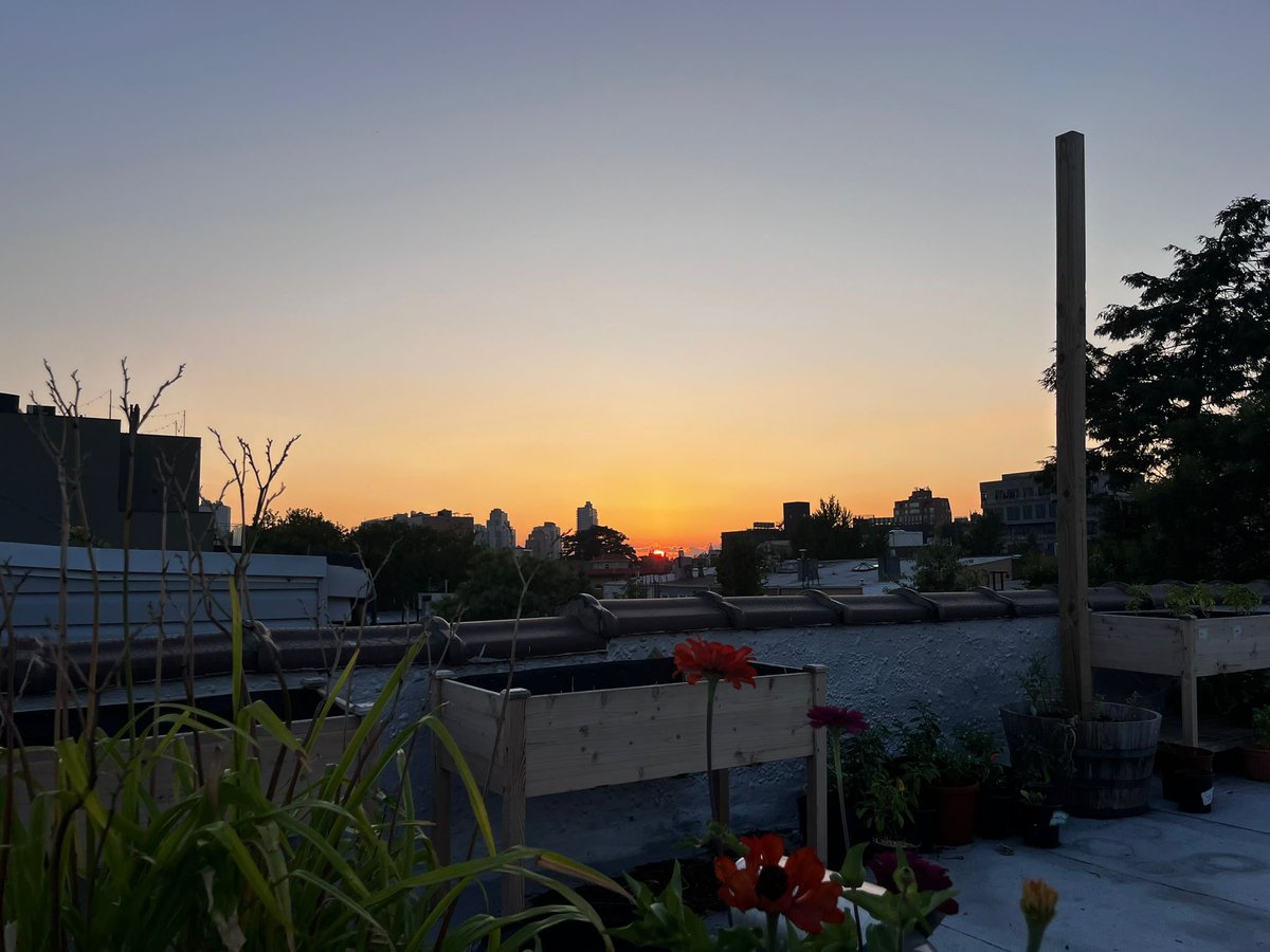 JakeZegil's tweet image. name that rooftop