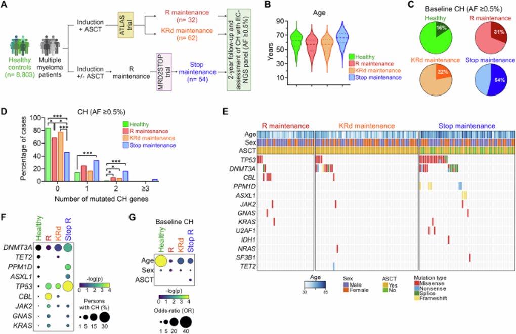 UChicagoCancerCenter (@uccancercenter) on Twitter photo 🔥 Hot off the press: In a new study, Cooperrider et al., show that lenalidomide drives expansion of high-risk TP53-mutant clones, which may predispose MM patients to secondary blood cancers like t-MDS and t-ALL. <a href="/CanerSaygin/">Caner Saygin, MD</a>
<a href="/bdermanmd/">Ben Derman</a> <a href="/UChicagoHemOnc/">University of Chicago Hematology/Oncology</a>
ow.ly/gvMO50WqIjj 🔥 Hot off the press: In a new study, Cooperrider et al., show that lenalidomide drives expansion of high-risk TP53-mutant clones, which may predispose MM patients to secondary blood cancers like t-MDS and t-ALL. <a href="/CanerSaygin/">Caner Saygin, MD</a>
<a href="/bdermanmd/">Ben Derman</a> <a href="/UChicagoHemOnc/">University of Chicago Hematology/Oncology</a>
ow.ly/gvMO50WqIjj