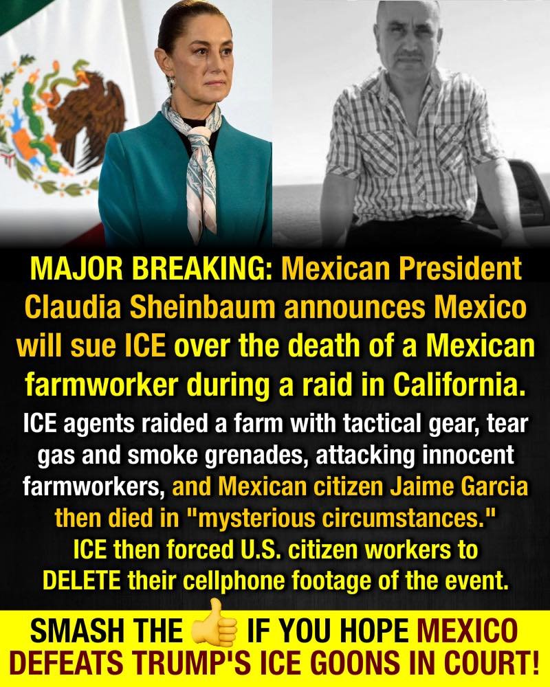 Roger dorp (@roger758) on Twitter photo 