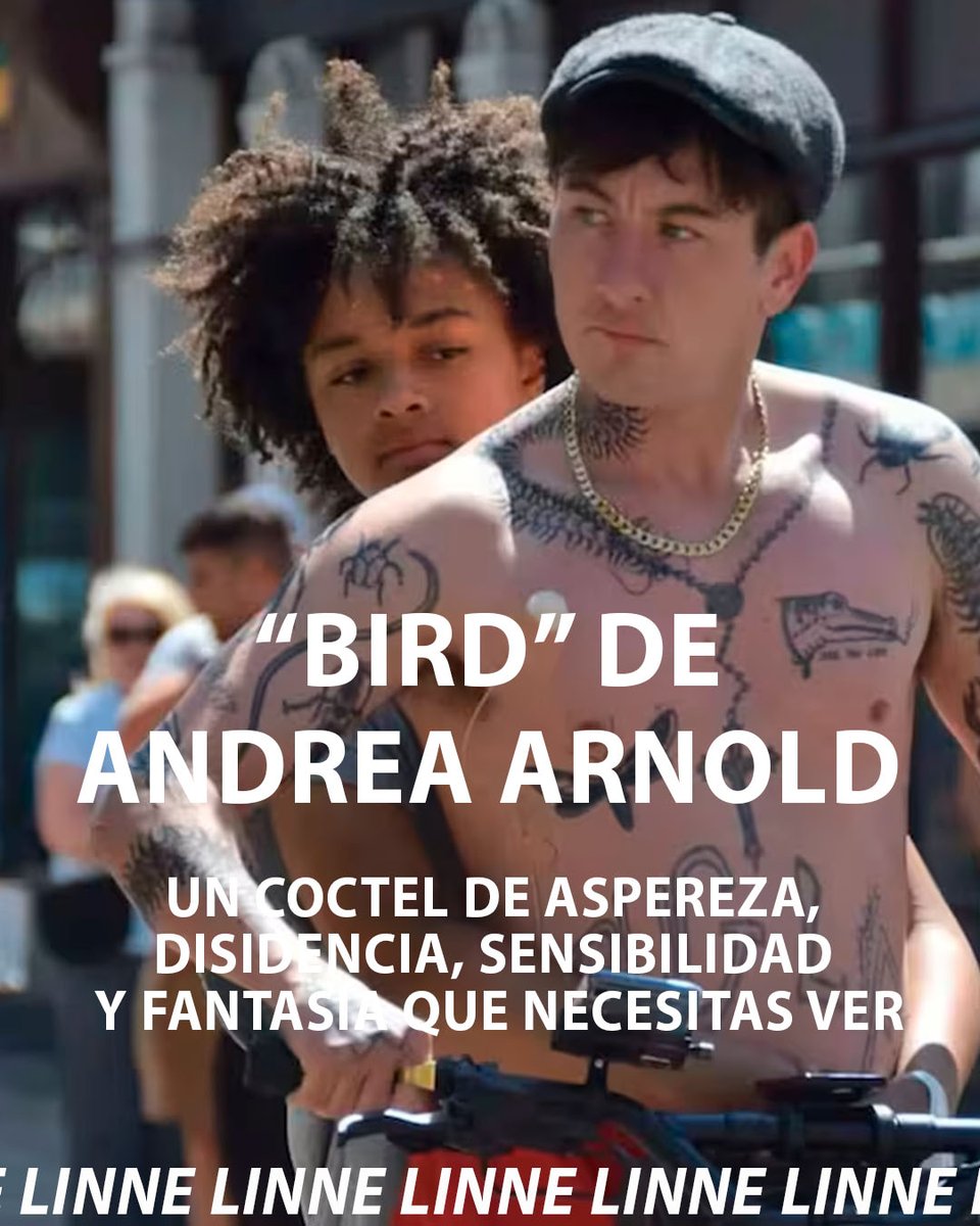 LINNE (@linnemagazine) on Twitter photo "BIRD" de Andrea Arnold es de las mejores películas que hemos visto en el año 🔥<a href="/TulipPicturesmx/">Tulip Pictures</a> "BIRD" de Andrea Arnold es de las mejores películas que hemos visto en el año 🔥<a href="/TulipPicturesmx/">Tulip Pictures</a>