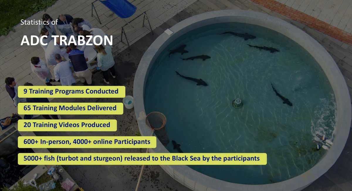 mdogano's tweet photo. Honoured to present #ADCTrabzon at #GFCM_CAQ 🌍

✅ Training
✅ Best practices in finfish aquaculture
✅ Regional cooperation &amp; Blue Transformation
🛠️ More to come as we build capacity &amp; connect science with practice!
@trabzonsumae 
#Aquaculture4Sustainability #BlueEconomy https://t.co/kg0vvrQ7Bk