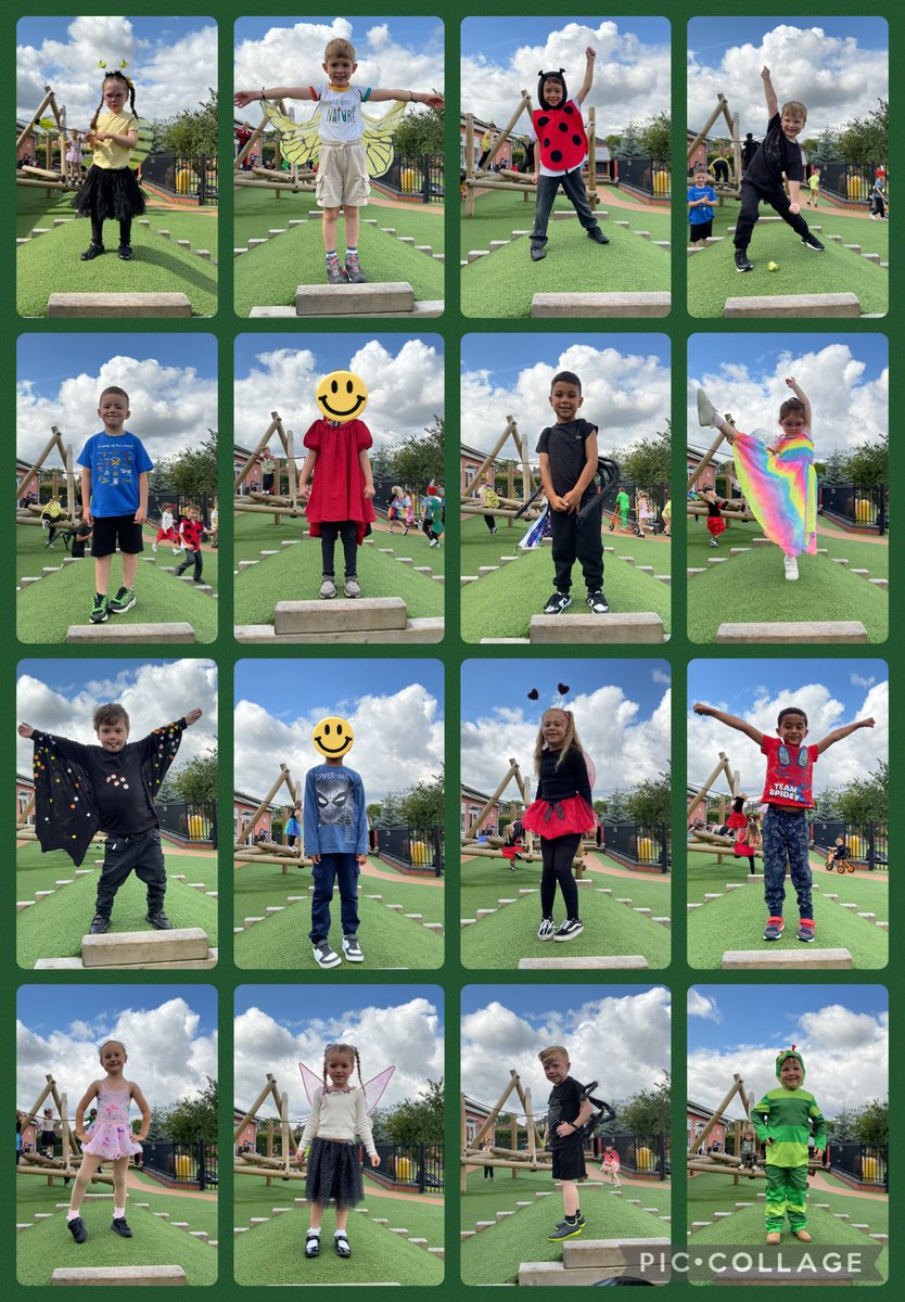 Dowson Primary tweet media