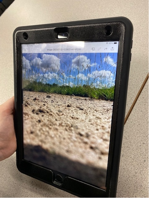 padgateacademy's tweet image. Year 10 have been working on the art portfolio this afternoon. Year 9 students are practicing their photography skills. All photos have been taken around the school site. Very impressive! @TCATchallenge