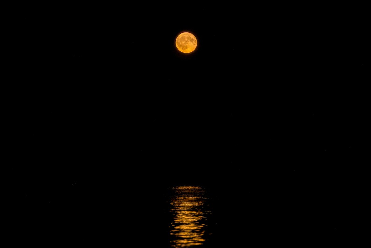 WriterJoMalby's tweet image. summer night—
in the nascent darkness, your voice
turns into moonlight

~ Ellie Krupich, @EllenKrupich // #Photography by David Smith, @photosbydavid1 / photosbydavid.org #vss365 #haiku