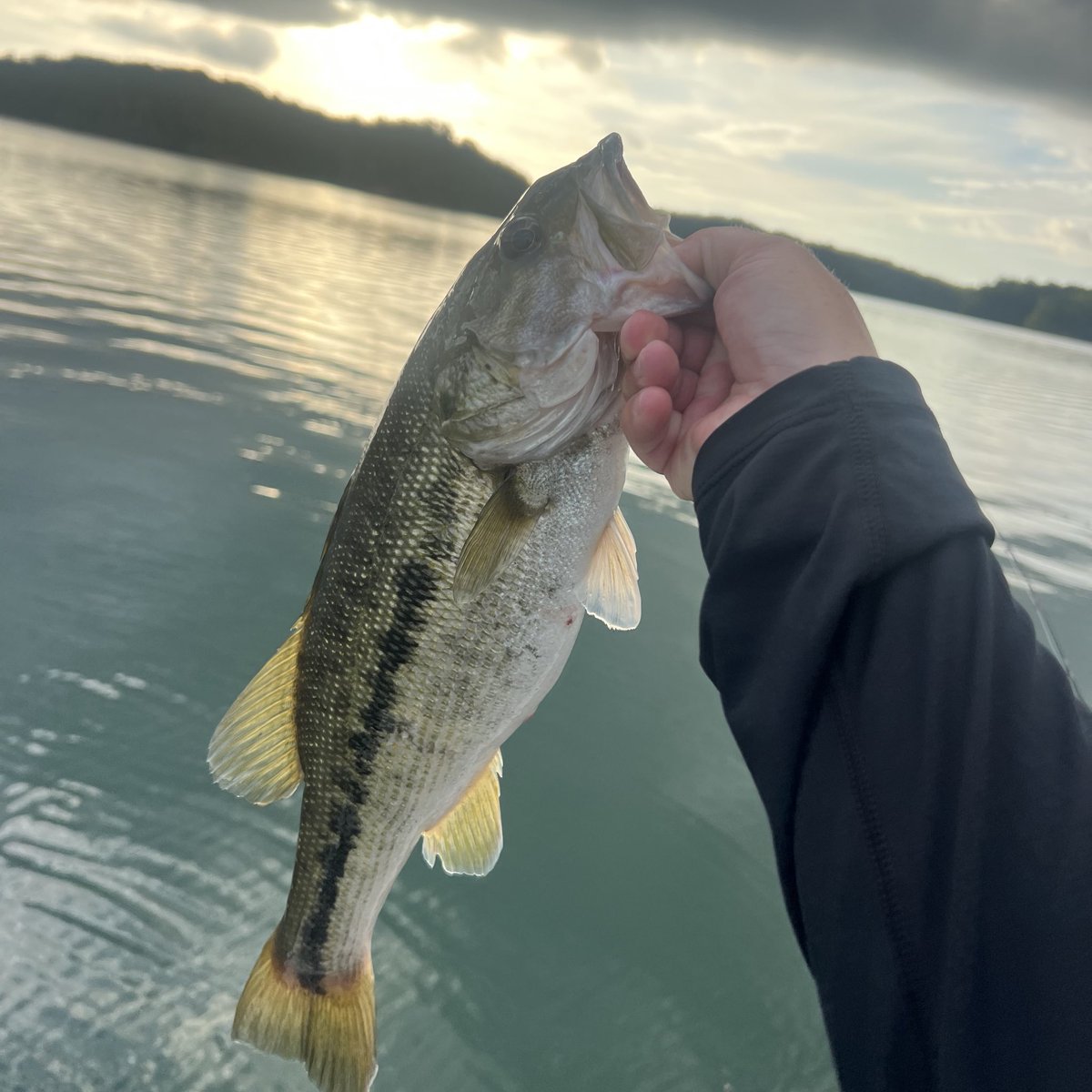 KatieRepole's tweet image. Clemson is a special place because of people like @TheHatDean! Thanks for a great morning out on the water!
