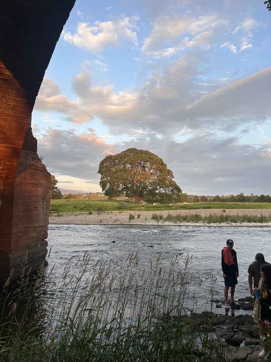 milllieees's tweet image. happy camping