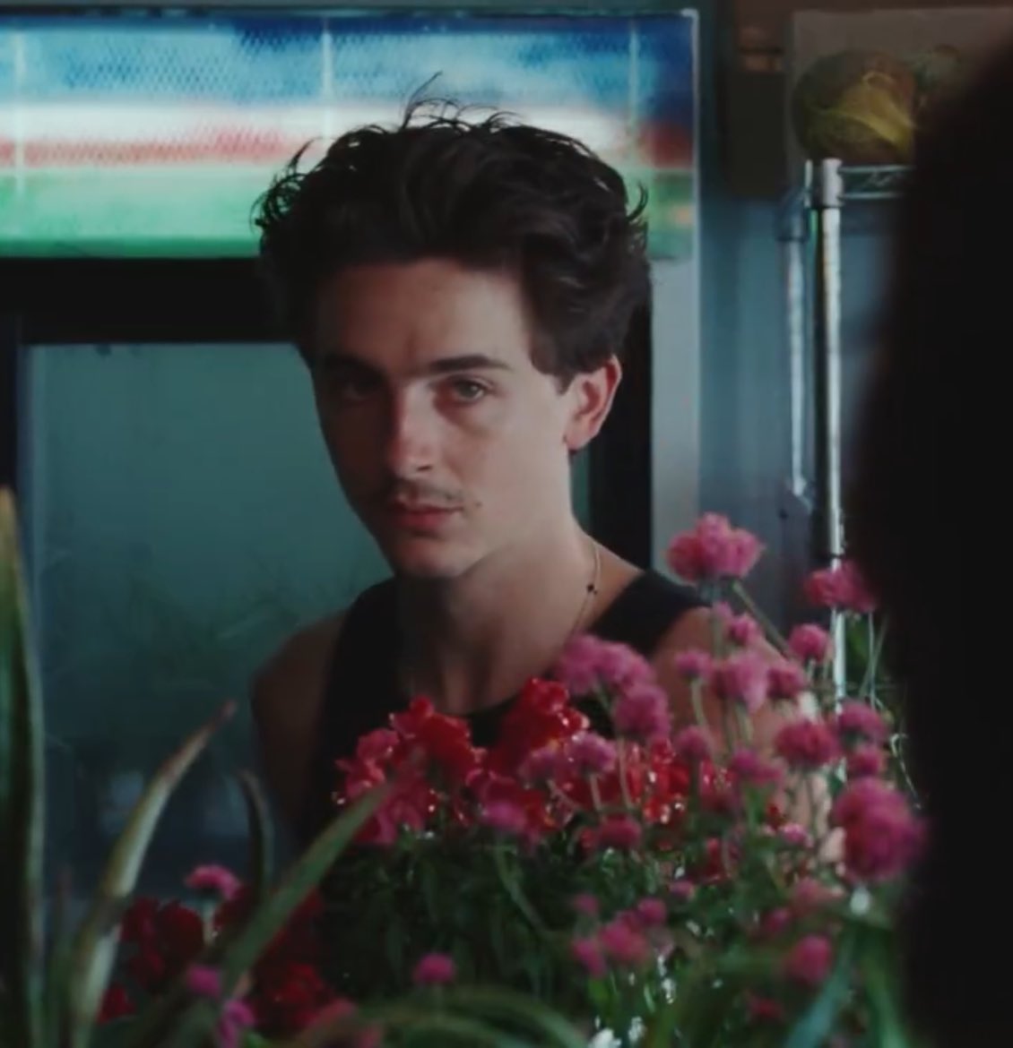timtomposting's tweet image. Only Timothée Chalamet would serve so hard in a commercial