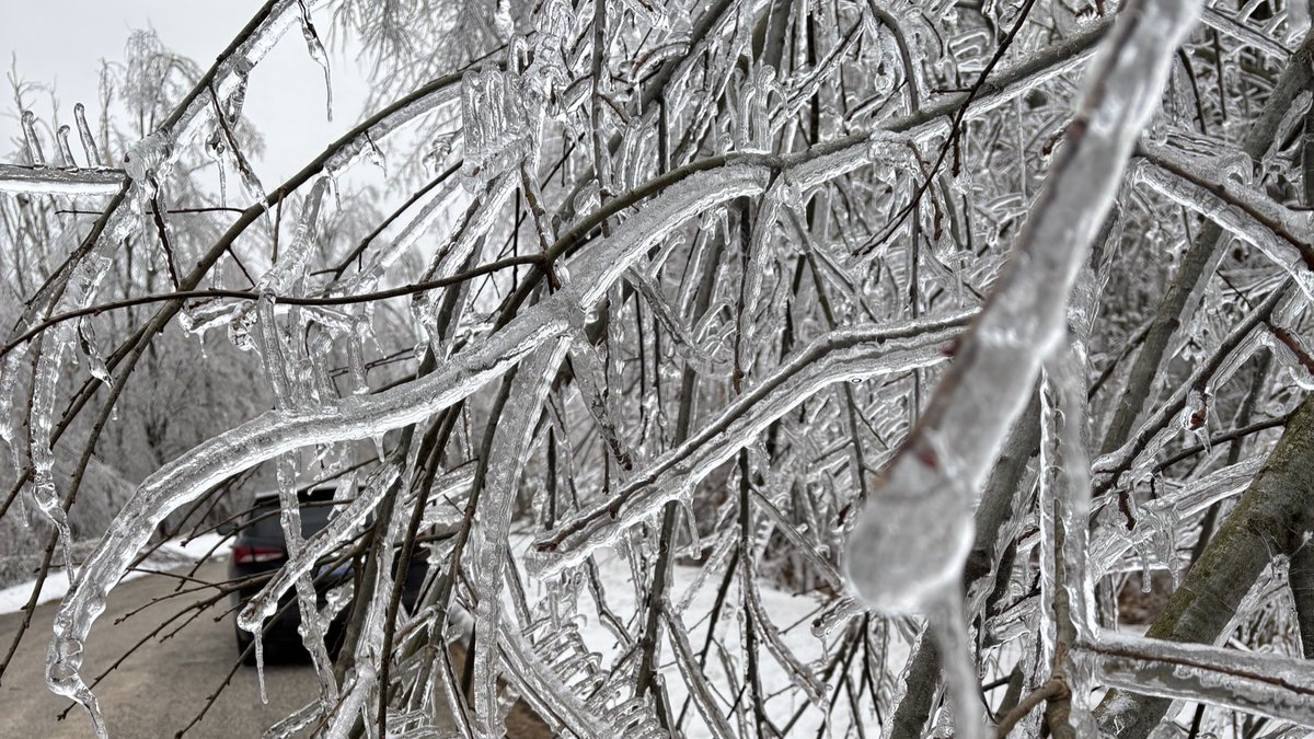 MichEMHS's tweet image. 🚨Help is still available for Northern Michigan residents impacted by the ice storm.
✅ Nearly $2M in SBA disaster loans has already been approved to support recovery.
Apply online: sba.gov/disaster
Find local loan centers: michigan.gov/icestorm
@MichStatePolice…