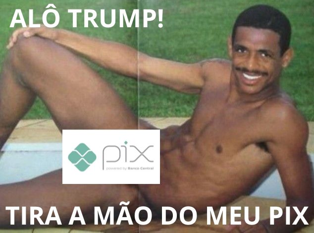 Puraingresia tweet media