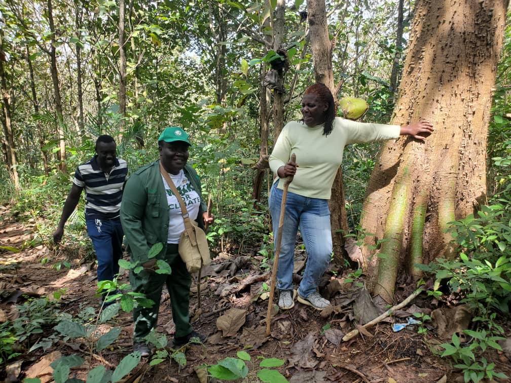 #Ghana’s Forest Investment Program exemplifies what happens when local entrepreneurship meets smart policy and international support. Learn more about the entrepreneurs investing in forests and their communities: wrld.bg/w3e450WoPAu