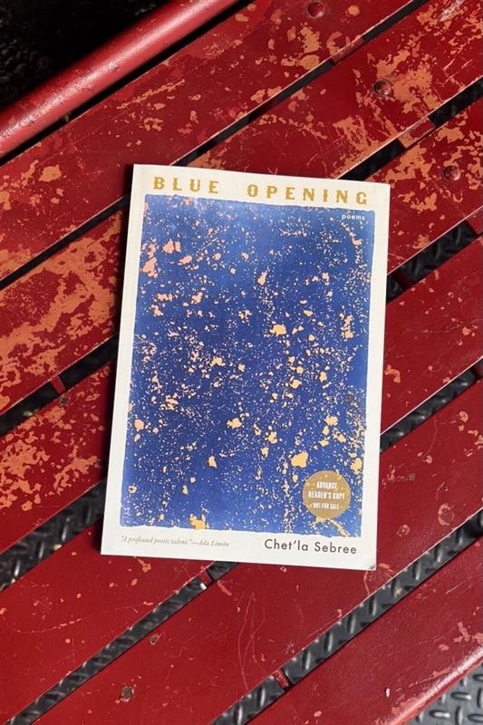 Tin_House's tweet image. 💙🌌 Want to be one of the first to read Blue Opening: Poems by Chet’la Sebree (@Nahtil)? 🌌💙
“A profound poetic talent.” —Ada Limón
Answer the Qs here! forms.gle/pnaHw1LQwFecsR…