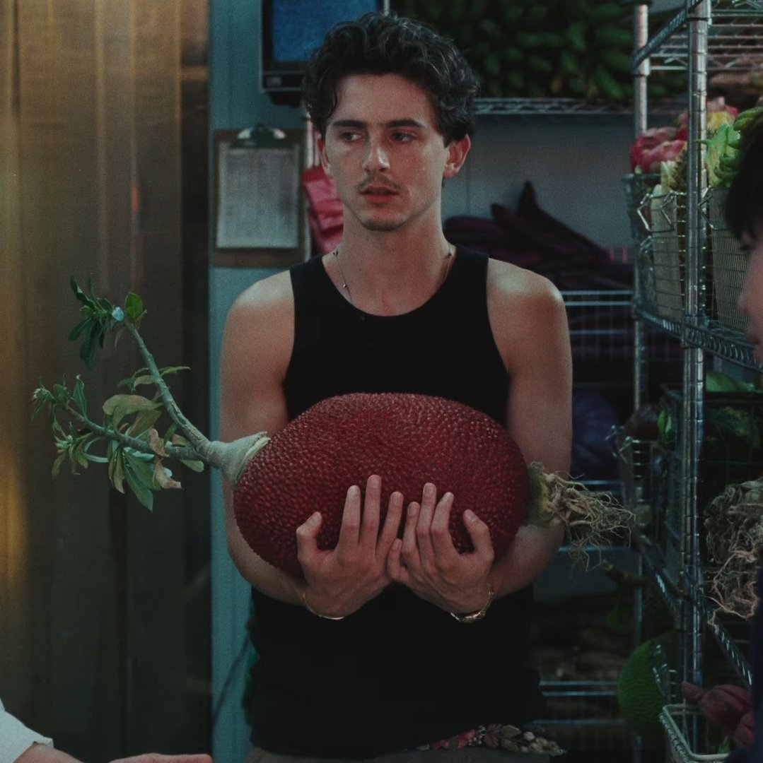 timotheeupdates's tweet image. Timothée Chalamet reunited with Aidan Zamiri and Elijah Bynum (Director of ‘Hot Summer Nights’) on the writing and directing of the Cash App commercial.