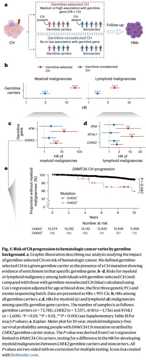 Pradeep Natarajan (@pnatarajanmd) on Twitter photo Delighted to collaborate on this study led by <a href="/jieliu09/">Jie Liu</a> <a href="/KellyLBolton/">Kelly Bolton MD PhD</a> describing how germline genetic variation influences the trajectory of clonal hematopoiesis to hematologic malignancy nature.com/articles/s4158… <a href="/NatureGenet/">Nature Genetics</a> Delighted to collaborate on this study led by <a href="/jieliu09/">Jie Liu</a> <a href="/KellyLBolton/">Kelly Bolton MD PhD</a> describing how germline genetic variation influences the trajectory of clonal hematopoiesis to hematologic malignancy nature.com/articles/s4158… <a href="/NatureGenet/">Nature Genetics</a>