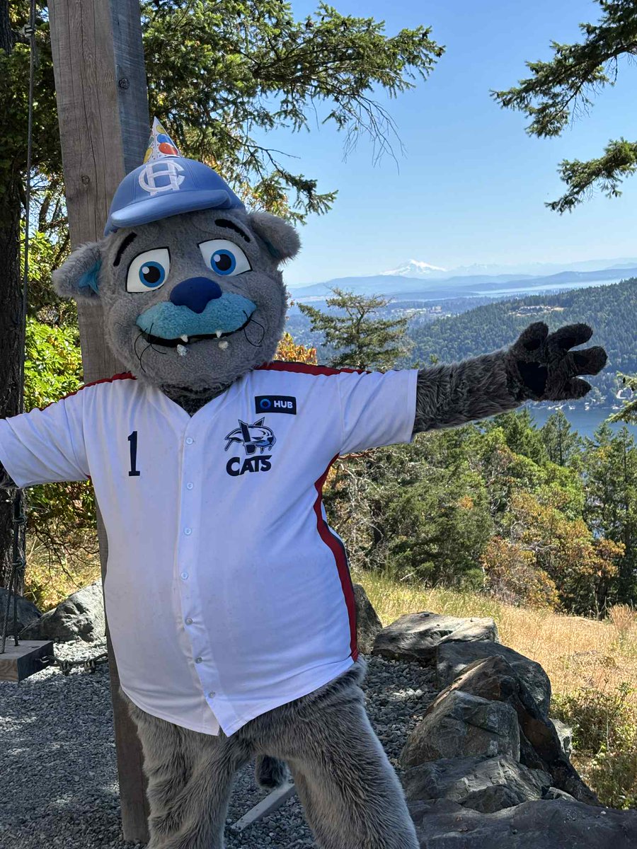 Victoria HarbourCats (@harbourcats) on Twitter photo Harvey had a GREAT time at Luke's birthday exploring his home at the <a href="/MalahatSkywalk/">Malahat SkyWalk</a> yesterday! 🎂🎁🎉
#HarbourCats #Baseball #HomeTeam #Birthday #Community #YYJ Harvey had a GREAT time at Luke's birthday exploring his home at the <a href="/MalahatSkywalk/">Malahat SkyWalk</a> yesterday! 🎂🎁🎉
#HarbourCats #Baseball #HomeTeam #Birthday #Community #YYJ